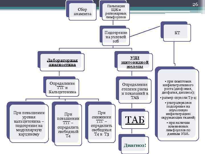 Сбор анамнеза Подозрение на узловой зоб Определение ТТГ и Кальцитонина При повышении ТТГ –