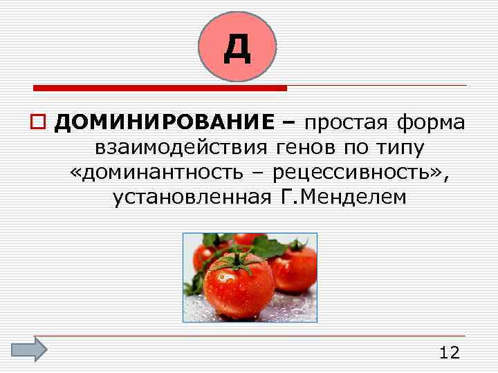 Д o ДОМИНИРОВАНИЕ – простая форма взаимодействия генов по типу «доминантность – рецессивность» ,