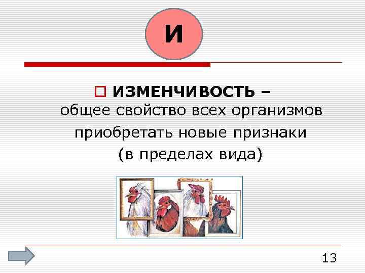 И o ИЗМЕНЧИВОСТЬ – общее свойство всех организмов приобретать новые признаки (в пределах вида)