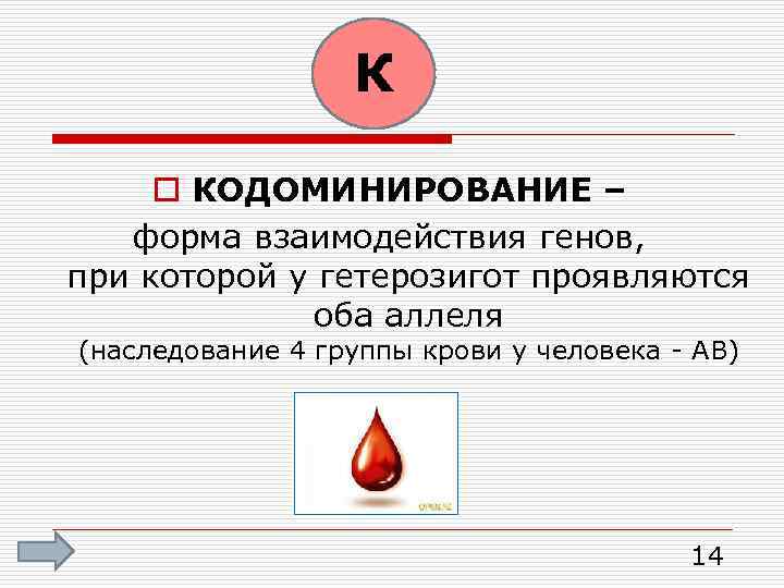 К o КОДОМИНИРОВАНИЕ – форма взаимодействия генов, при которой у гетерозигот проявляются оба аллеля