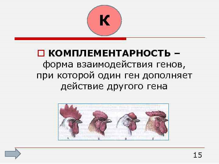 К o КОМПЛЕМЕНТАРНОСТЬ – форма взаимодействия генов, при которой один ген дополняет действие другого