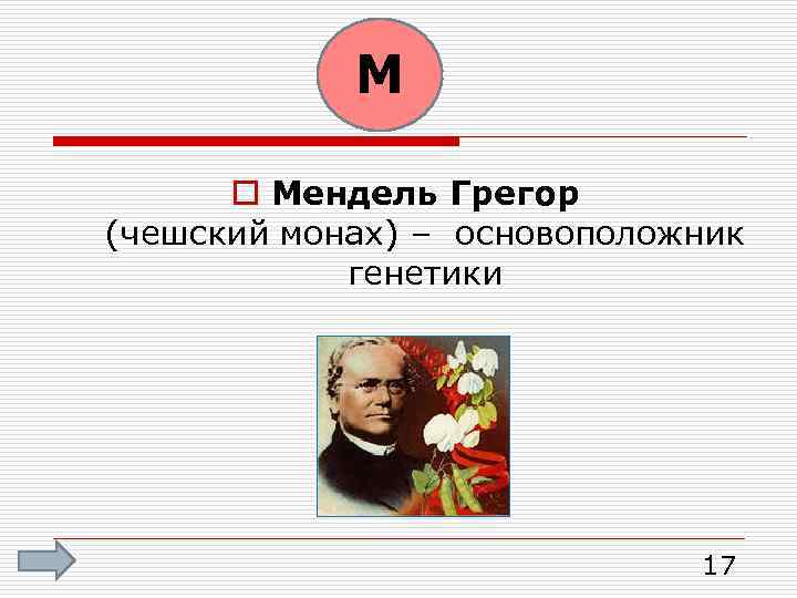 М o Мендель Грегор (чешский монах) – основоположник генетики 17 