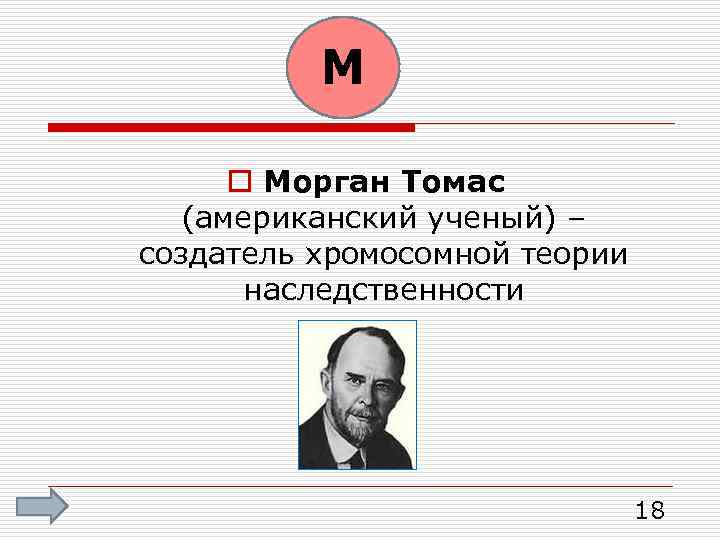 М o Морган Томас (американский ученый) – создатель хромосомной теории наследственности 18 