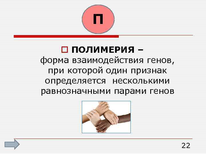 П o ПОЛИМЕРИЯ – форма взаимодействия генов, при которой один признак определяется несколькими равнозначными