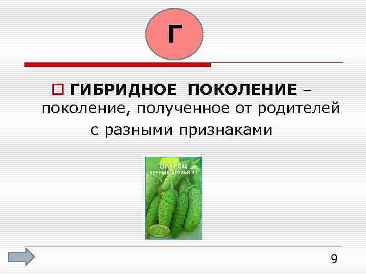 Г o ГИБРИДНОЕ ПОКОЛЕНИЕ – поколение, полученное от родителей с разными признаками 9 