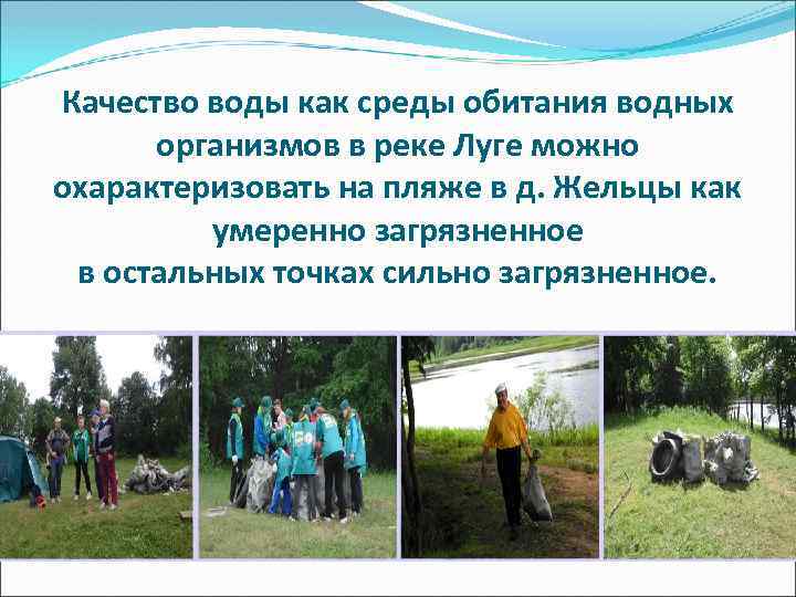 Качество воды как среды обитания водных организмов в реке Луге можно охарактеризовать на пляже