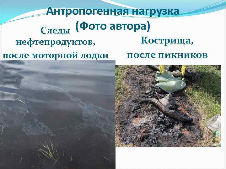 Антропогенная нагрузка Следы (Фото автора) нефтепродуктов, после моторной лодки Кострища, после пикников 