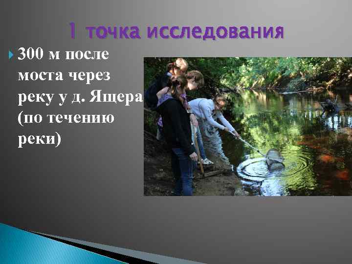  300 1 точка исследования м после моста через реку у д. Ящера (по