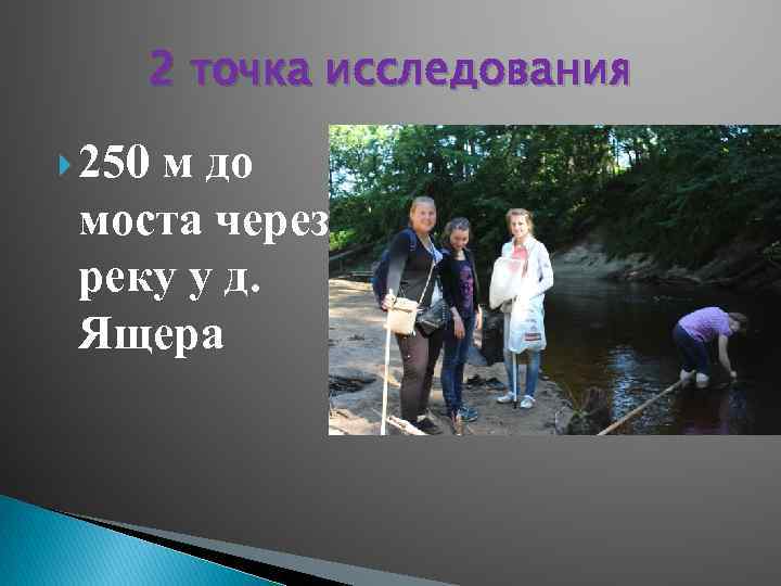2 точка исследования 250 м до моста через реку у д. Ящера 