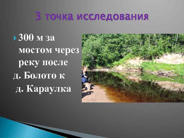 3 точка исследования 300 м за мостом через реку после д. Болото к д.