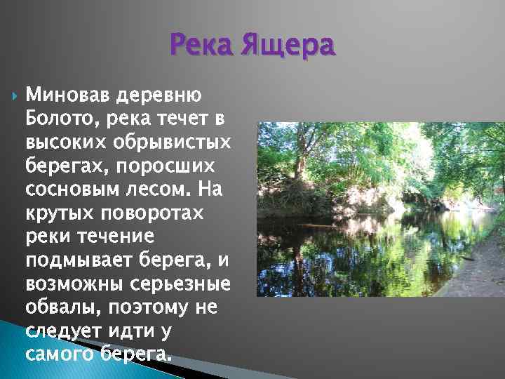 Река Ящера Миновав деревню Болото, река течет в высоких обрывистых берегах, поросших сосновым лесом.
