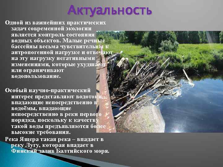 Актуальность Одной из важнейших практических задач современной экологии является контроль состояния водных объектов. Малые