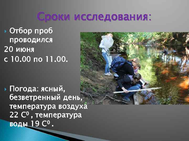 Сроки исследования: Отбор проб проводился 20 июня с 10. 00 по 11. 00. Погода: