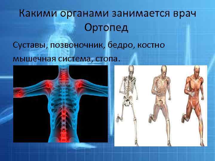 Какими органами занимается врач Ортопед Суставы, позвоночник, бедро, костно мышечная система, стопа. 