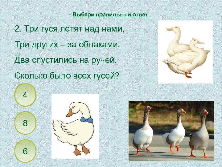 Выбери правильный ответ. 2. Три гуся летят над нами, Три других – за облаками,