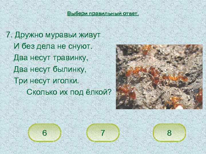 Выбери правильный ответ. 7. Дружно муравьи живут И без дела не снуют. Два несут