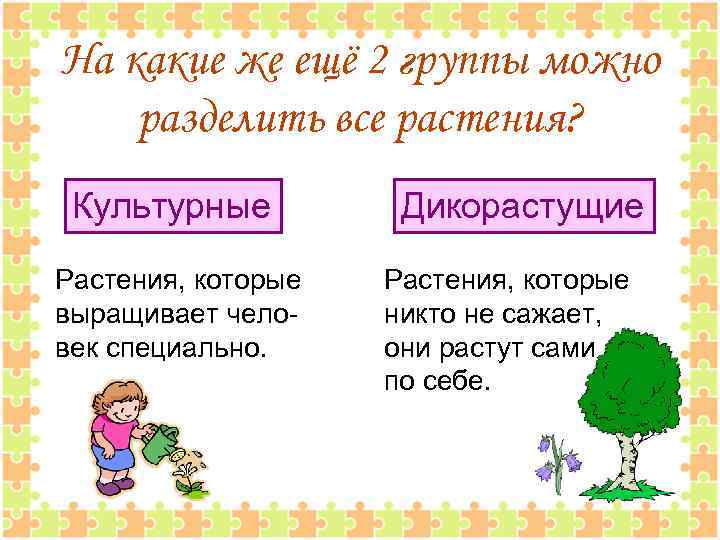 На какие же ещё 2 группы можно разделить все растения? Культурные Растения, которые выращивает