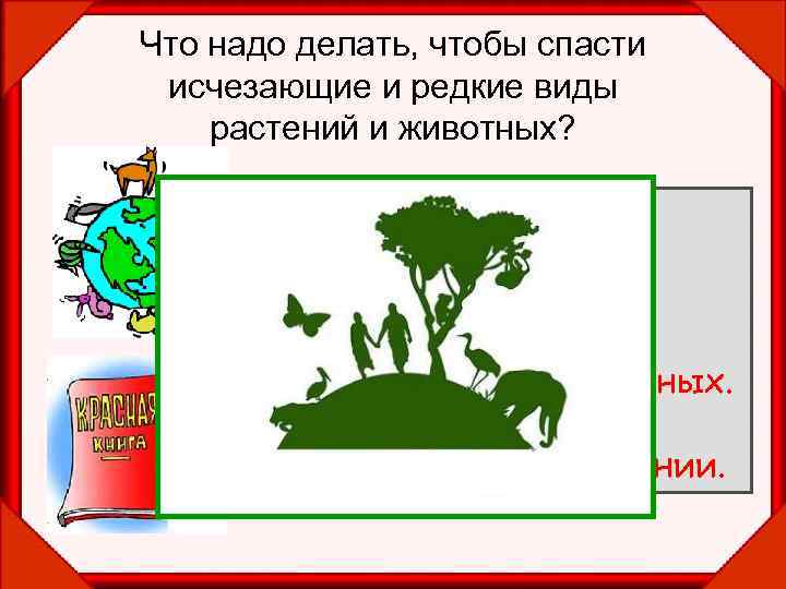 Что надо делать, чтобы спасти исчезающие и редкие виды растений и животных? • Запретить