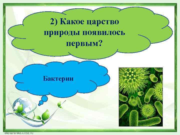 2) Какое царство природы появилось первым? Бактерии 