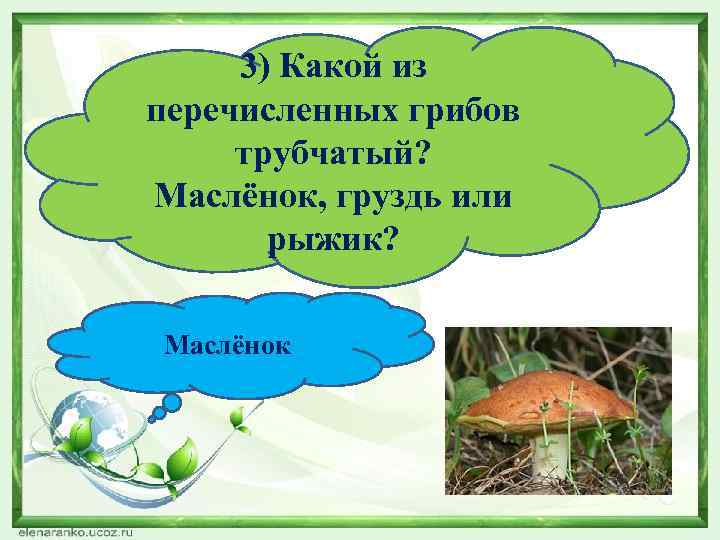 3) Какой из перечисленных грибов трубчатый? Маслёнок, груздь или рыжик? Маслёнок 