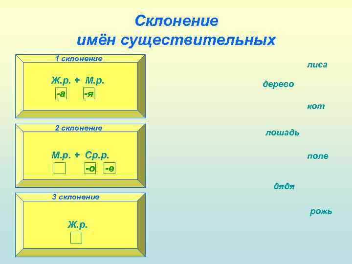 Склонение имён существительных 1 склонение лиса Ж. р. + М. р. 1 склонение -а