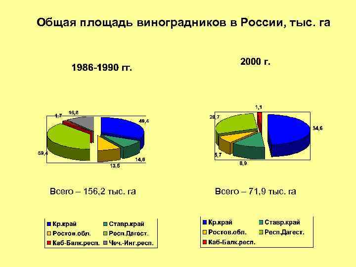 Общая площадь виноградников в России, тыс. га Всего – 156, 2 тыс. га Всего