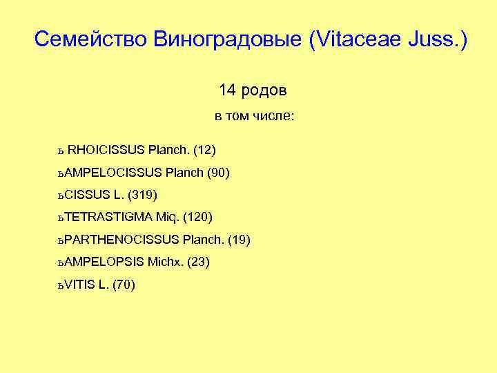 Семейство Виноградовые (Vitaceae Juss. ) 14 родов в том числе: ь RHOICISSUS Planch. (12)