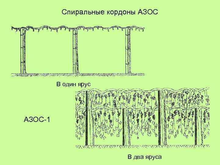 Спиральные кордоны АЗОС В один ярус АЗОС-1 В два яруса 