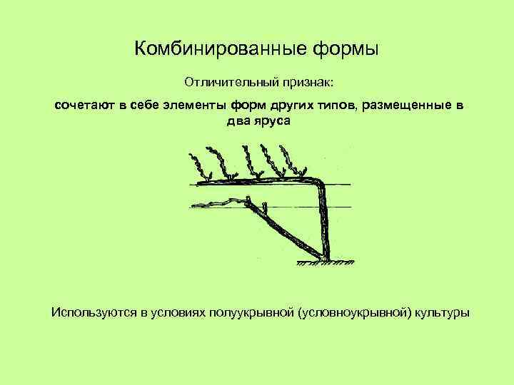 Комбинированные формы Отличительный признак: сочетают в себе элементы форм других типов, размещенные в два