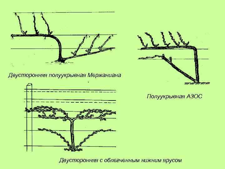 Двусторонняя полуукрывная Мержаниана Полуукрывная АЗОС Двусторонняя с облегченным нижним ярусом 