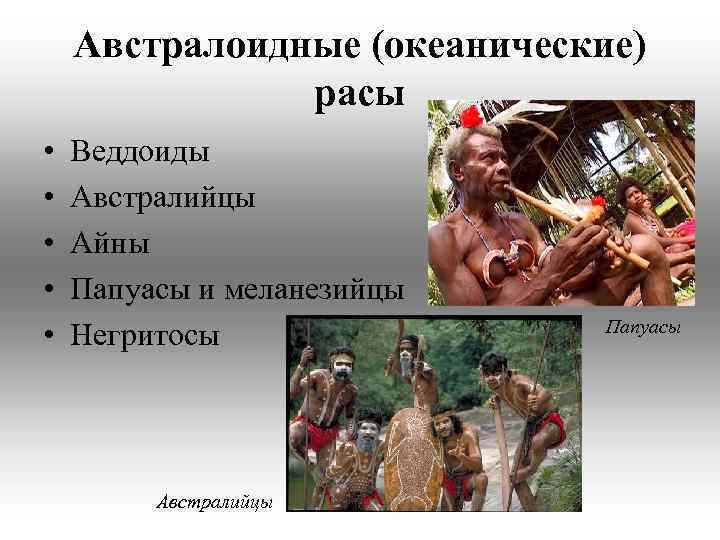 Австралоидные (океанические) расы • • • Веддоиды Австралийцы Айны Папуасы и меланезийцы Негритосы Австралийцы