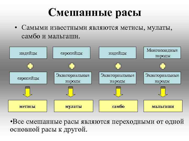 Смешанные расы • Самыми известными являются метисы, мулаты, самбо и мальгаши. индейцы европейцы индейцы