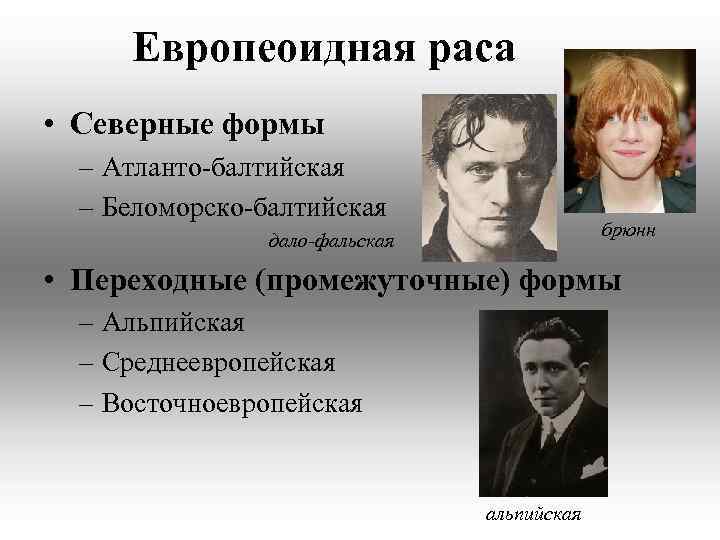 Европеоидная раса • Северные формы – Атланто-балтийская – Беломорско-балтийская брюнн дало-фальская • Переходные (промежуточные)
