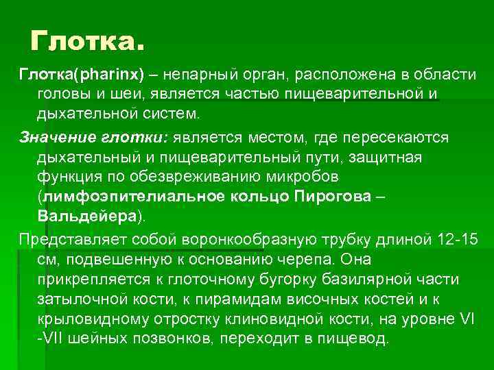 Глотка(pharinx) – непарный орган, расположена в области – головы и шеи, является частью пищеварительной