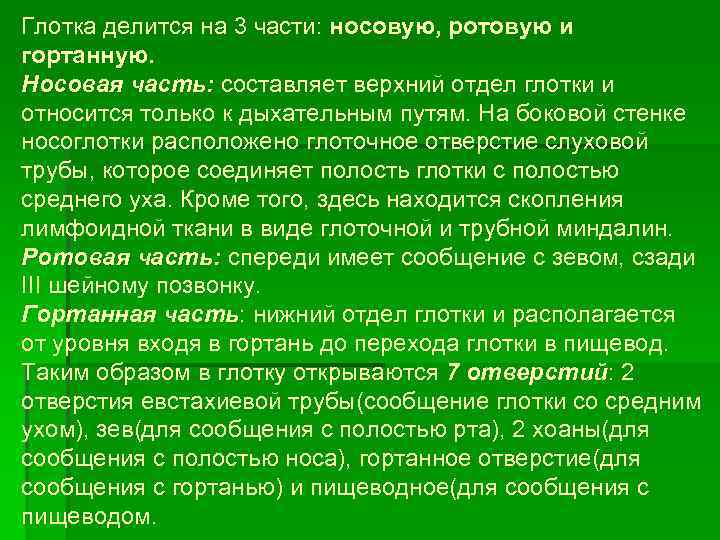 Глотка делится на 3 части: носовую, ротовую и гортанную. Носовая часть: составляет верхний отдел