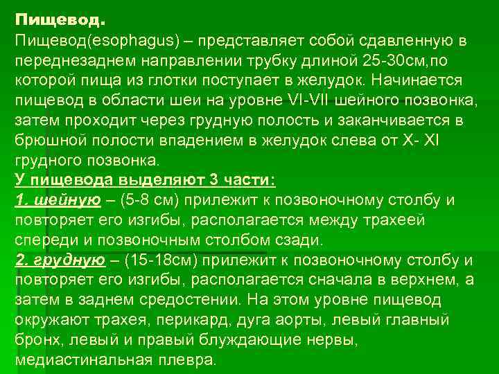 Пищевод(esophagus) – представляет собой сдавленную в переднезаднем направлении трубку длиной 25 30 см, по