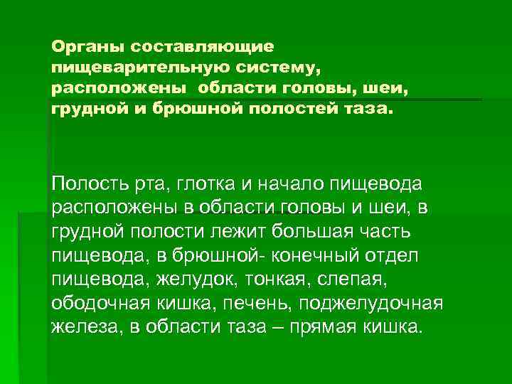 Органы составляющие пищеварительную систему, расположены области головы, шеи, грудной и брюшной полостей таза. Полость