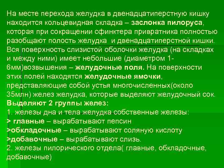 На месте перехода желудка в двенадцатиперстную кишку находится кольцевидная складка – заслонка пилоруса, которая