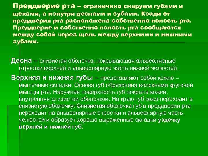 Преддверие рта – ограничено снаружи губами и щеками, а изнутри деснами и зубами. Кзади