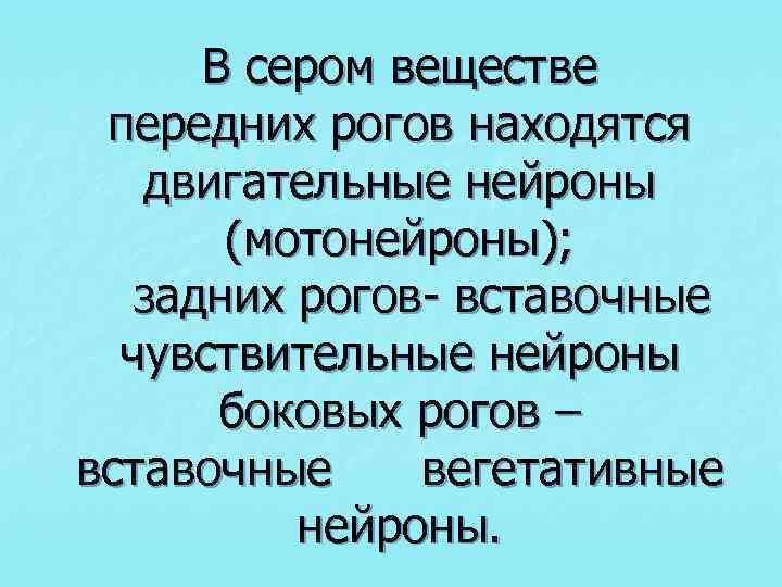 В сером веществе передних рогов находятся двигательные нейроны (мотонейроны); задних рогов- вставочные чувствительные нейроны