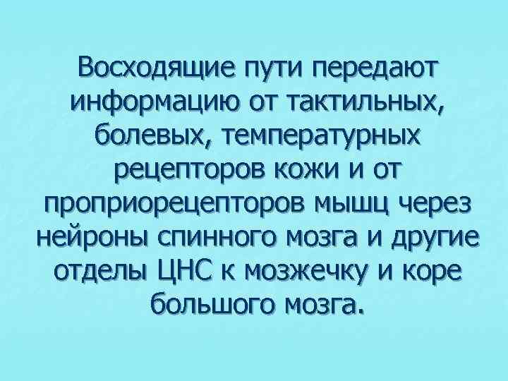 Восходящие пути передают информацию от тактильных, болевых, температурных рецепторов кожи и от проприорецепторов мышц