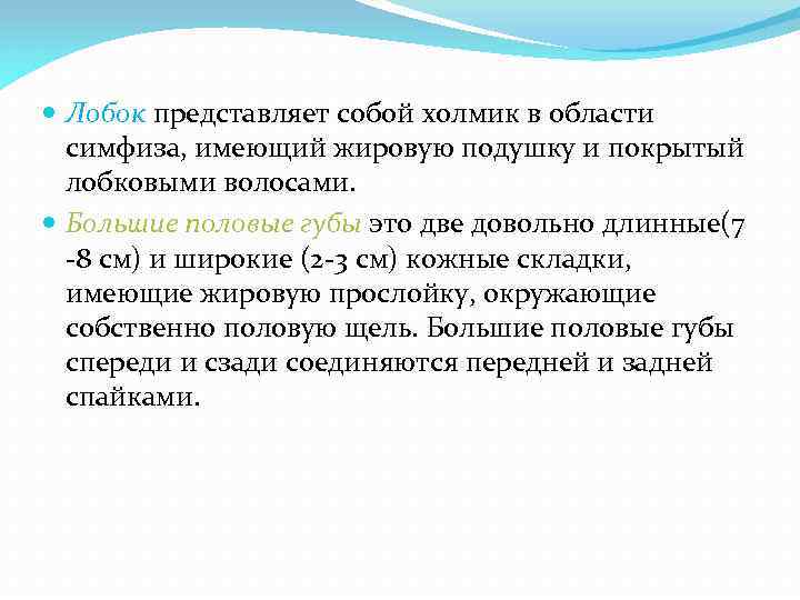 Лобок представляет собой холмик в области симфиза, имеющий жировую подушку и покрытый лобковыми