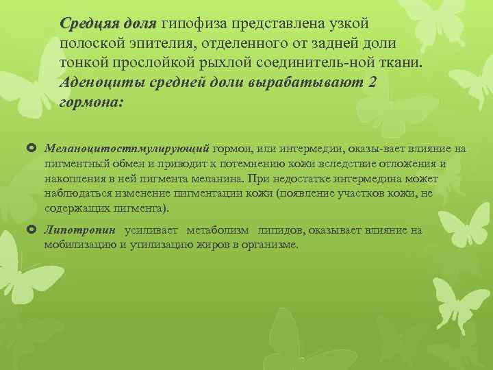 Средцяя доля гипофиза представлена узкой полоской эпителия, отделенного от задней доли тонкой прослойкой рыхлой