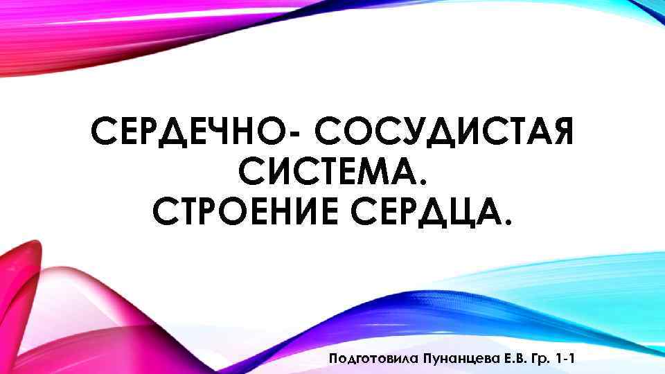 СЕРДЕЧНО- СОСУДИСТАЯ СИСТЕМА. СТРОЕНИЕ СЕРДЦА. Подготовила Пунанцева Е. В. Гр. 1 -1 