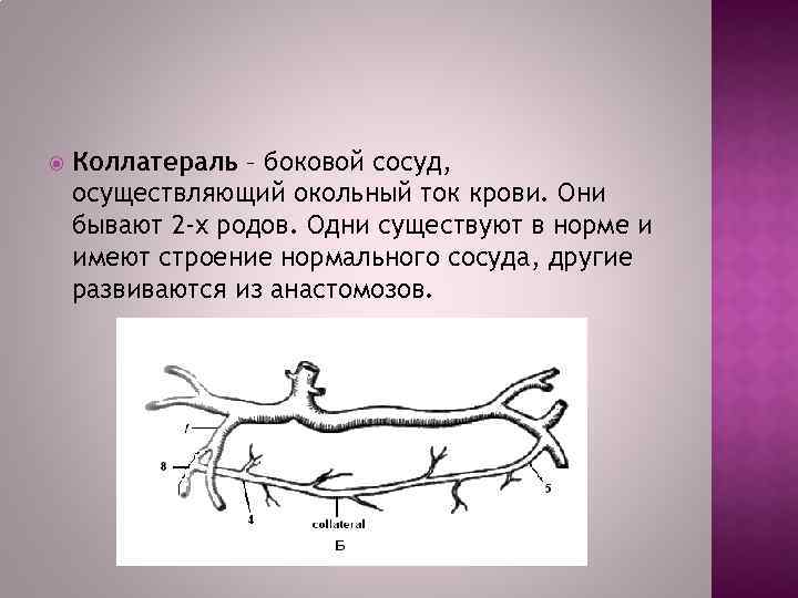  Коллатераль – боковой сосуд, осуществляющий окольный ток крови. Они бывают 2 -х родов.