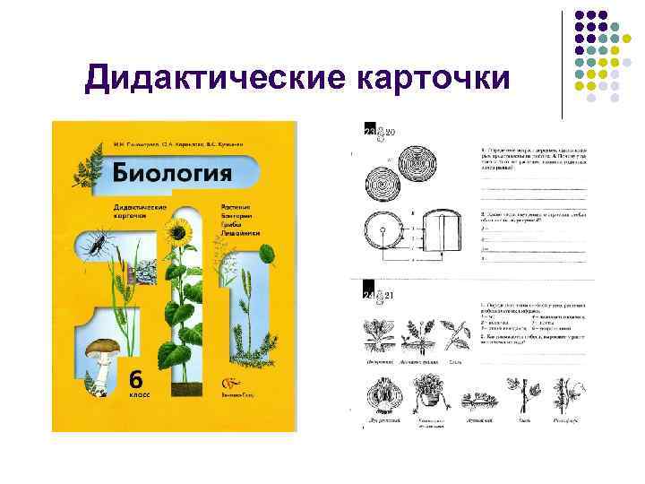 Биология 6 класс контрольные материалы. Дидактические карточки по биологии 8 класс. Карточки задания по биологии. Биология карточки с заданиями. Наглядный материал по биологии.