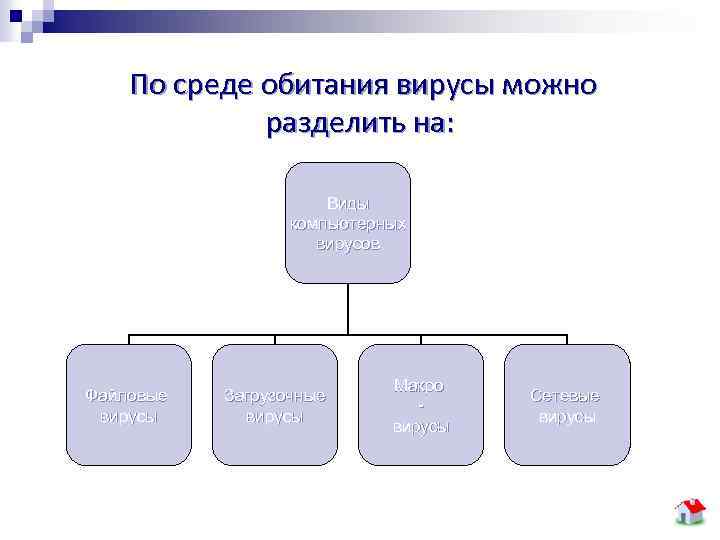 Компьютерные вирусы их виды антивирусы презентация