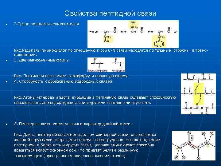 Аминокислоты биохимия презентация