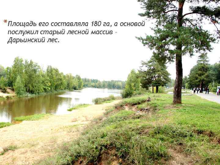 *Площадь его составляла 180 га, а основой послужил старый лесной массив – Дарьинский лес.