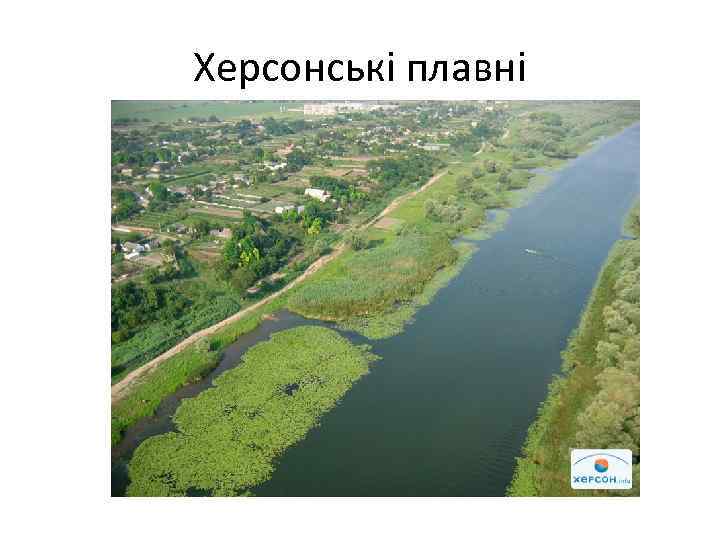 Херсонські плавні 